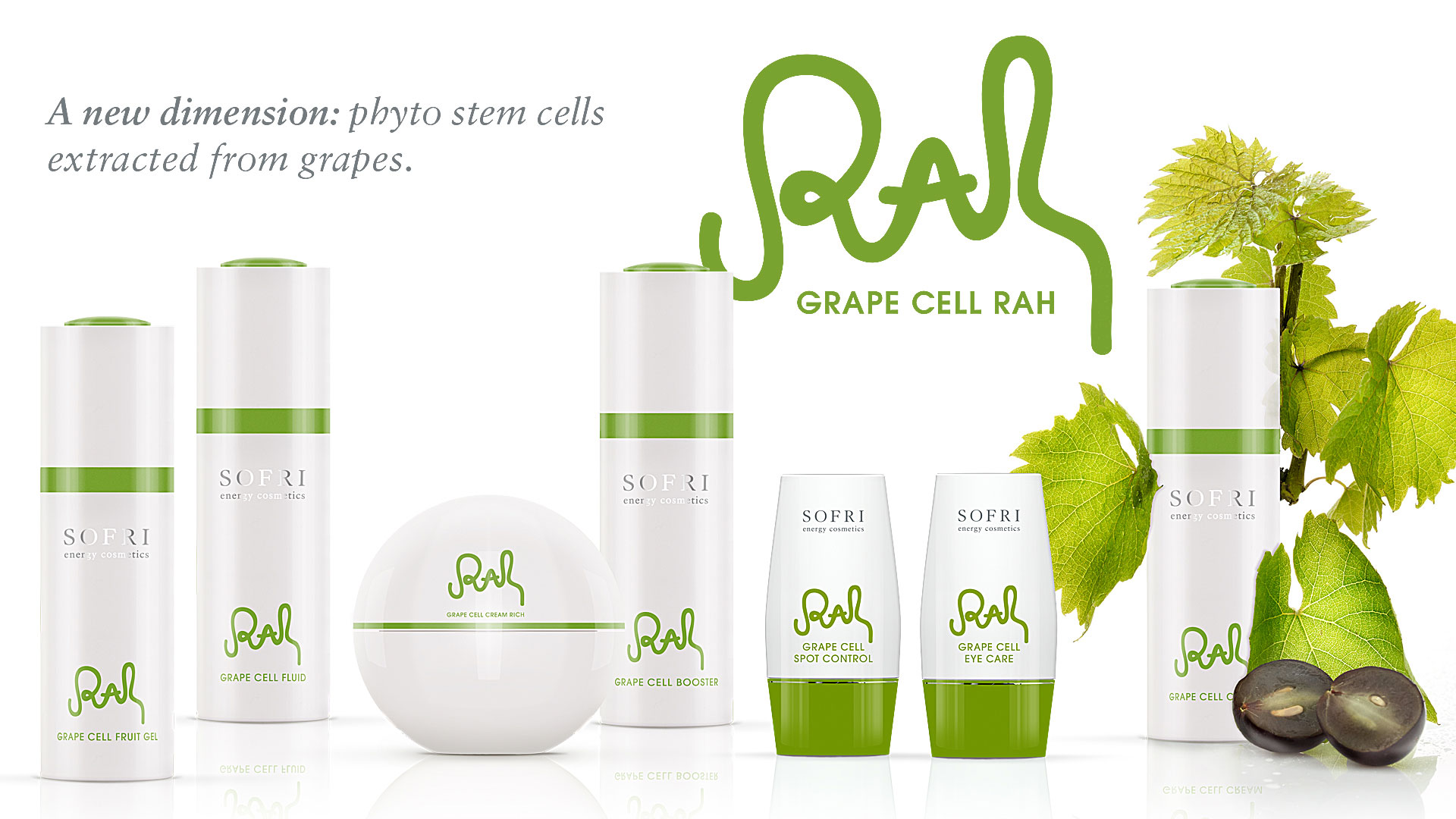 Grape Cell rah 1